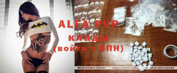 эйфоретик Новозыбков
