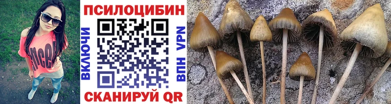продажа наркотиков  дарк нет какой сайт  Псилоцибиновые грибы мухоморы  Домодедово 