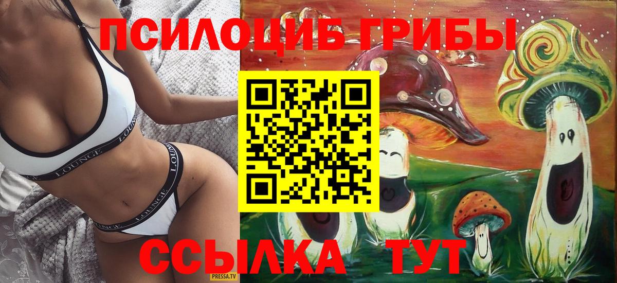 Псилоцибиновые грибы ЛСД Домодедово