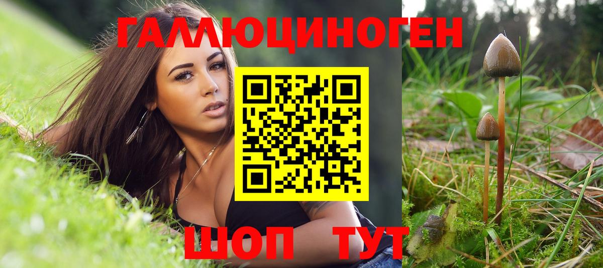 Домодедово  дарнет шоп  Вход с VPN  Галлюциногенные грибы Magic Shrooms 